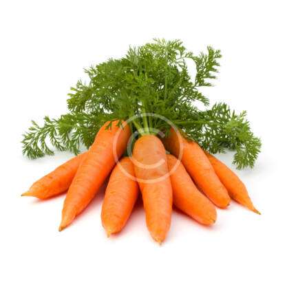 Organic Carrot