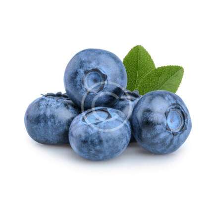 Fresh Blueberries